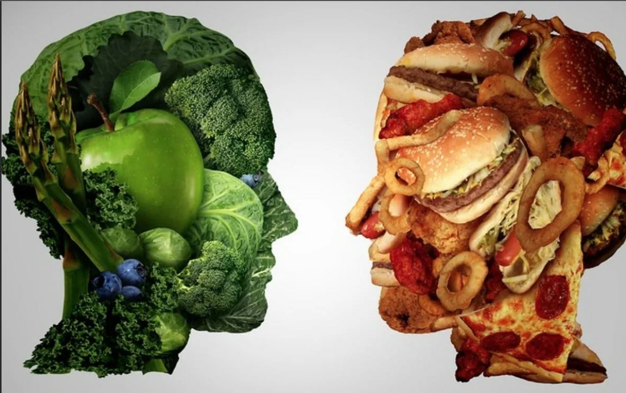 Как вегетарианство влияет на работу головного мозга
