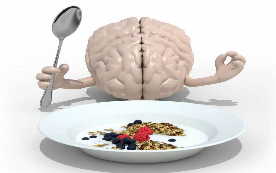 Как вегетарианство влияет на работу головного мозга